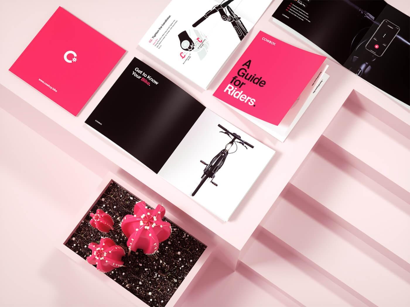 Diagonal pink wall with white shelves displaying marketing cards, including A Guide for Riders and a bicycle image, plus a pink flower pot.