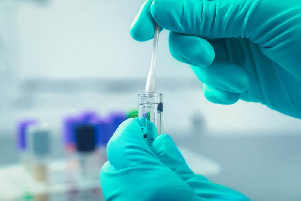 Blue-gloved hands use a dropper to transfer liquid into a small glass test tube in a laboratory.